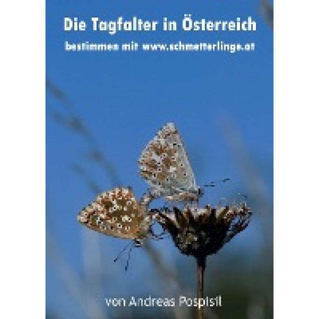 9783990846353 - Die Tagfalter Österreichs bestimmen - Andreas Pospisil Kartoniert (TB)