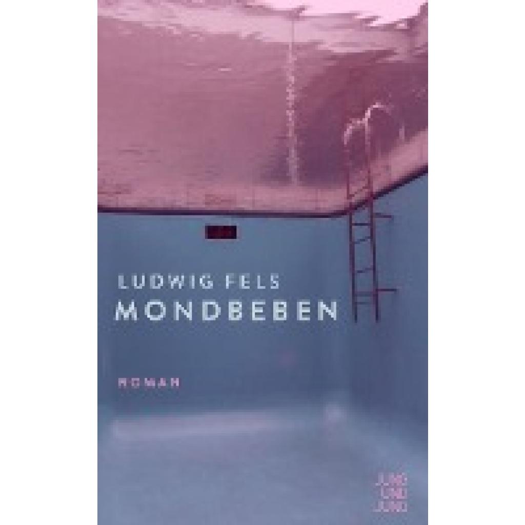 9783990272411 - Mondbeben - Ludwig Fels Kartoniert (TB) 9783990272411 - Mondbeben - Ludwig Fels Kartoniert (TB)