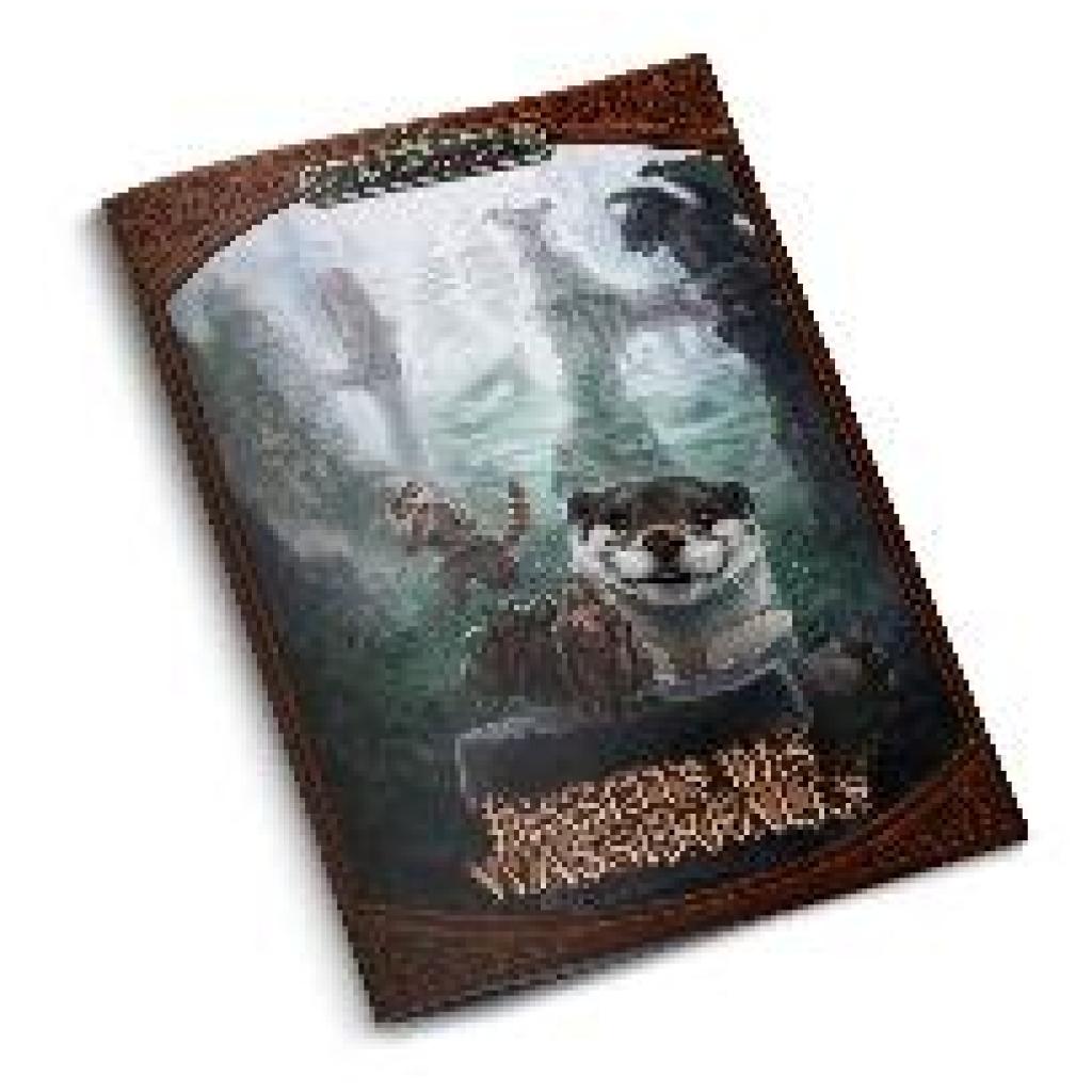 9783987321580 - Die Schwarze Katze - Jenseits des Wasserfalls - Ralf Lechner Steffen Lechner Taschenbuch