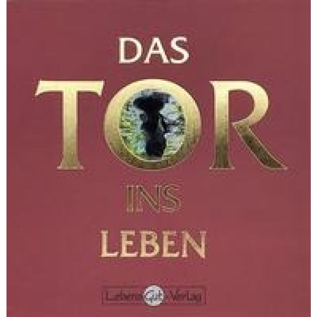 9783981180503 - Scholz Grit Das Tor ins Leben 9783981180503 - Scholz Grit Das Tor ins Leben