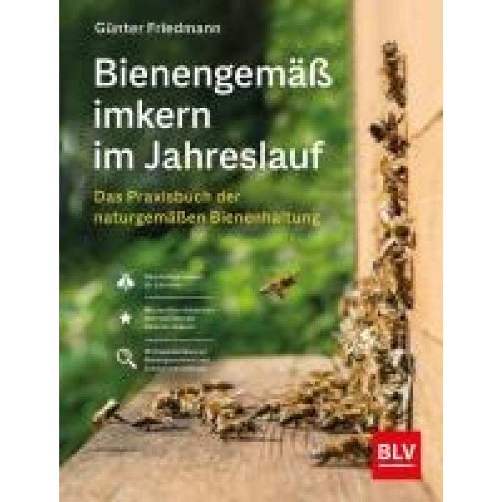 9783967470451 - Friedmann Günter Bienengemäß imkern im Jahreslauf 9783967470451 - Friedmann Günter Bienengemäß imkern im Jahreslauf