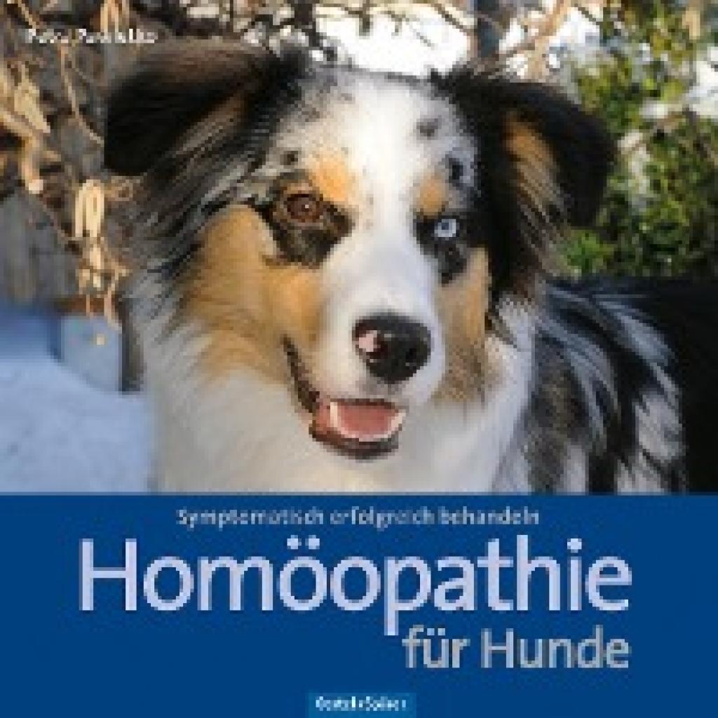 9783965550346 - Homöopathie für Hunde - Petra Pawletko Gebunden