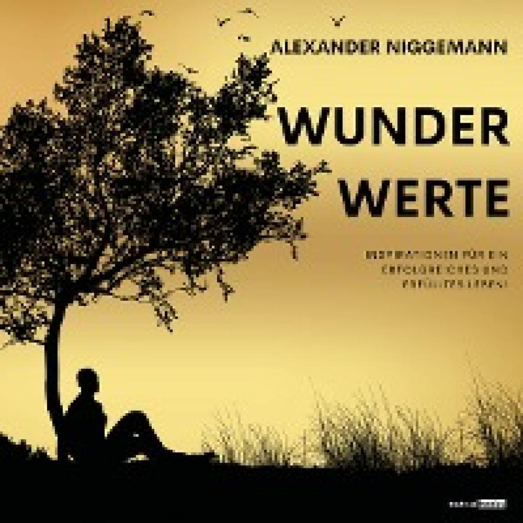 WunderWerte (Niggemann, Alexander)