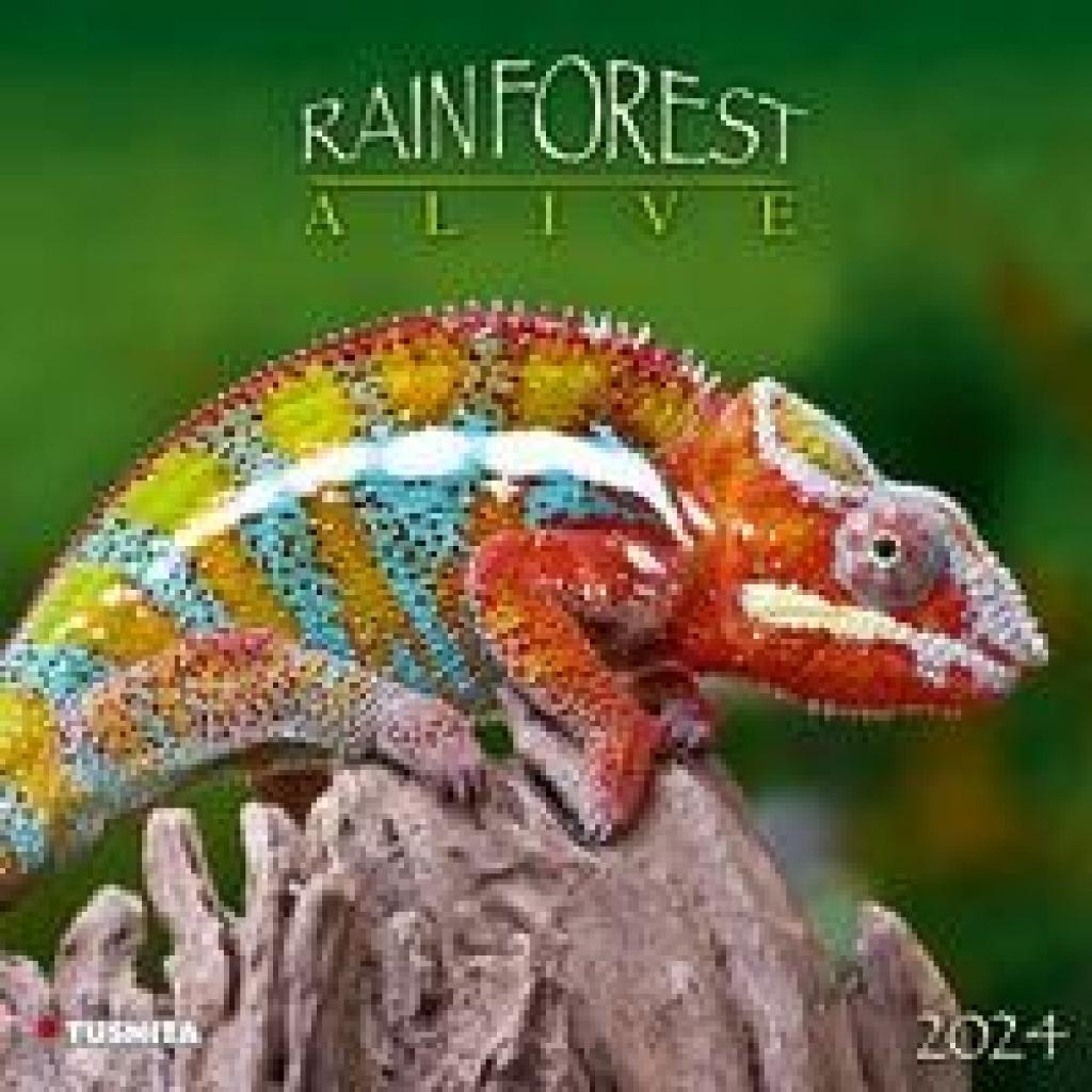 Rainforest Alive 2024