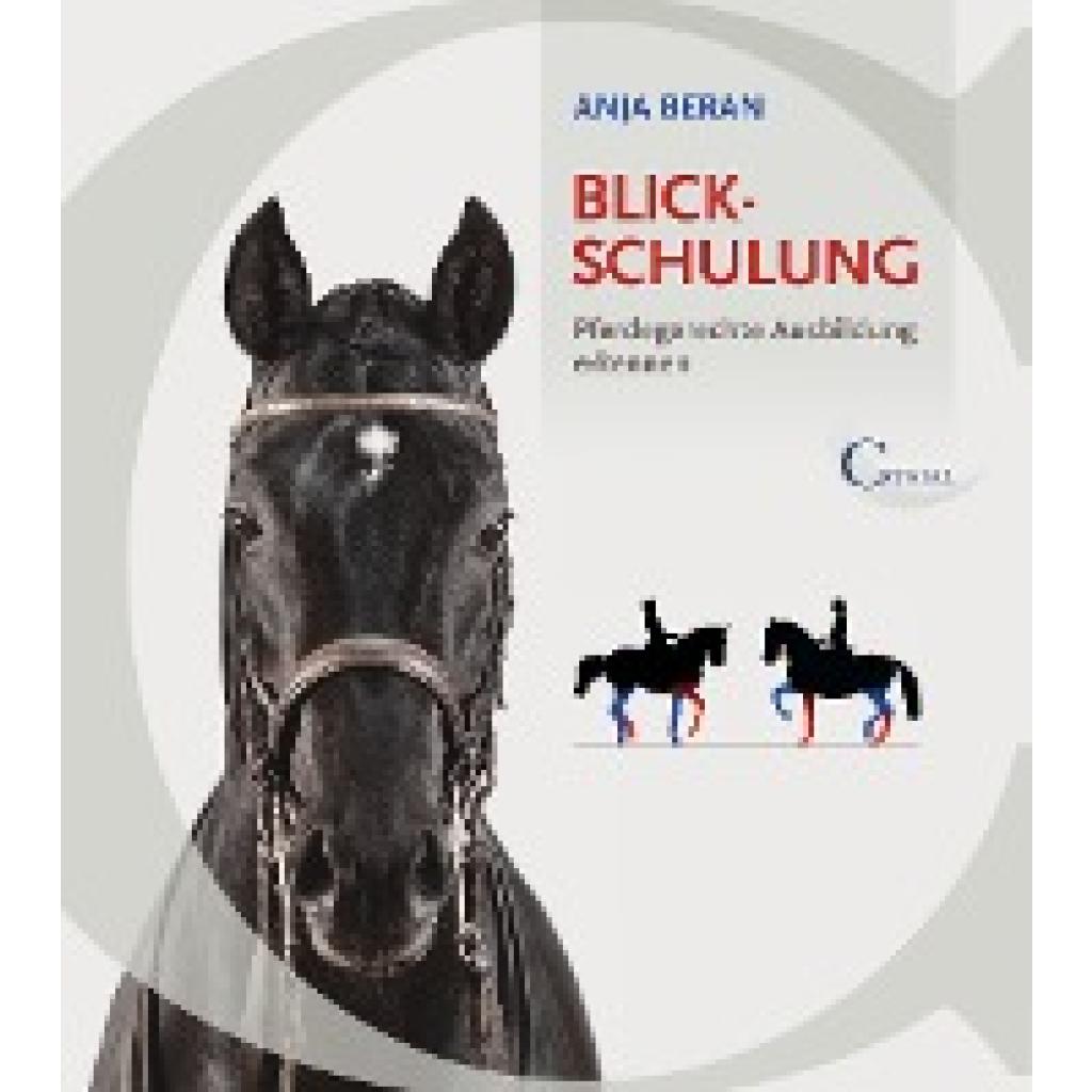 9783958470255 - Blickschulung - Anja Beran Kartoniert (TB) 9783958470255 - Blickschulung - Anja Beran Kartoniert (TB)