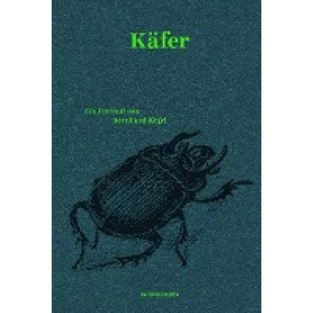 Käfer (Kegel, Bernhard)