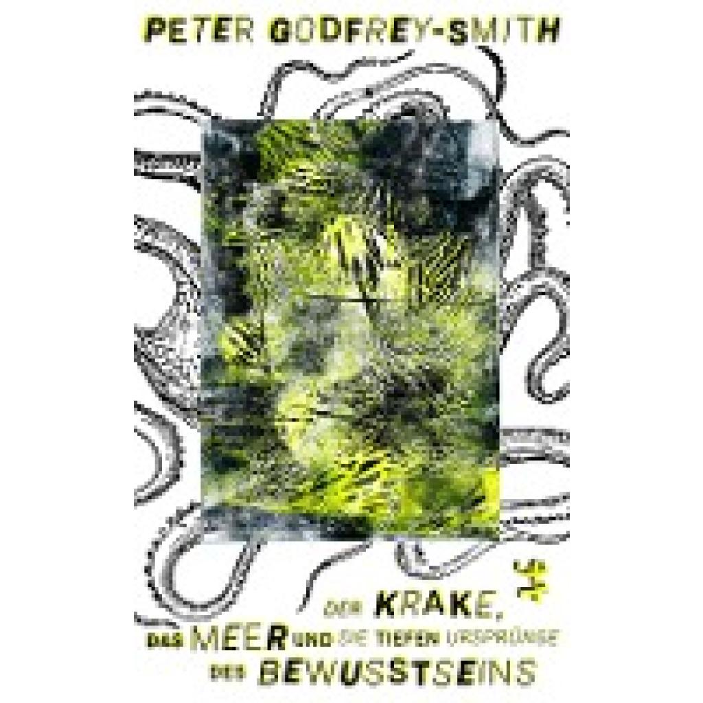 9783957577115 - Peter Godfrey-Smith - GEBRAUCHT Der Krake das Meer und die tiefen Ursprünge des Bewusstseins - Preis vom 05102023 050521 h