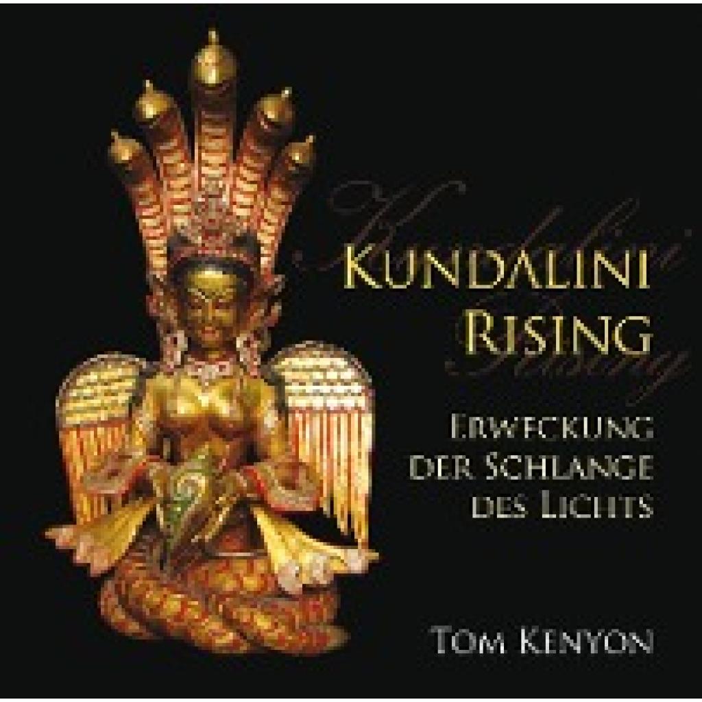 9783954470211 - Kenyon Tom Kundalini Rising Erweckung der Schlange des Lichts