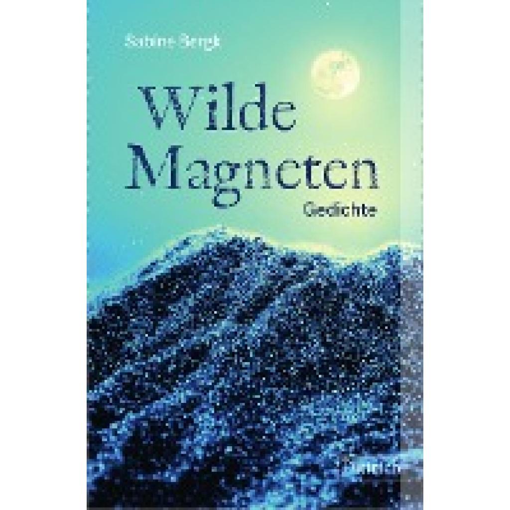 Wilde Magneten (Bergk, Sabine)