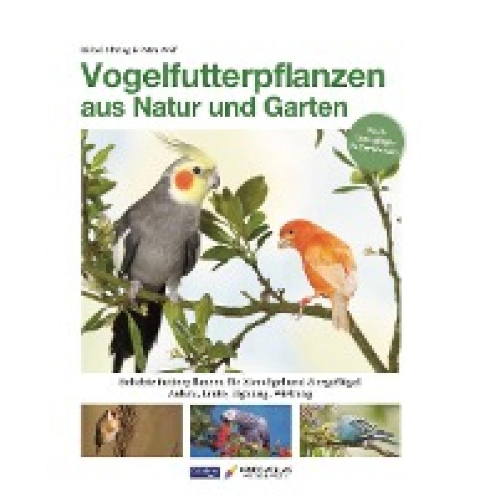 Vogelfutterpflanzen aus Natur und Garten (Oftring, Bärbel~Wolf, Petra)