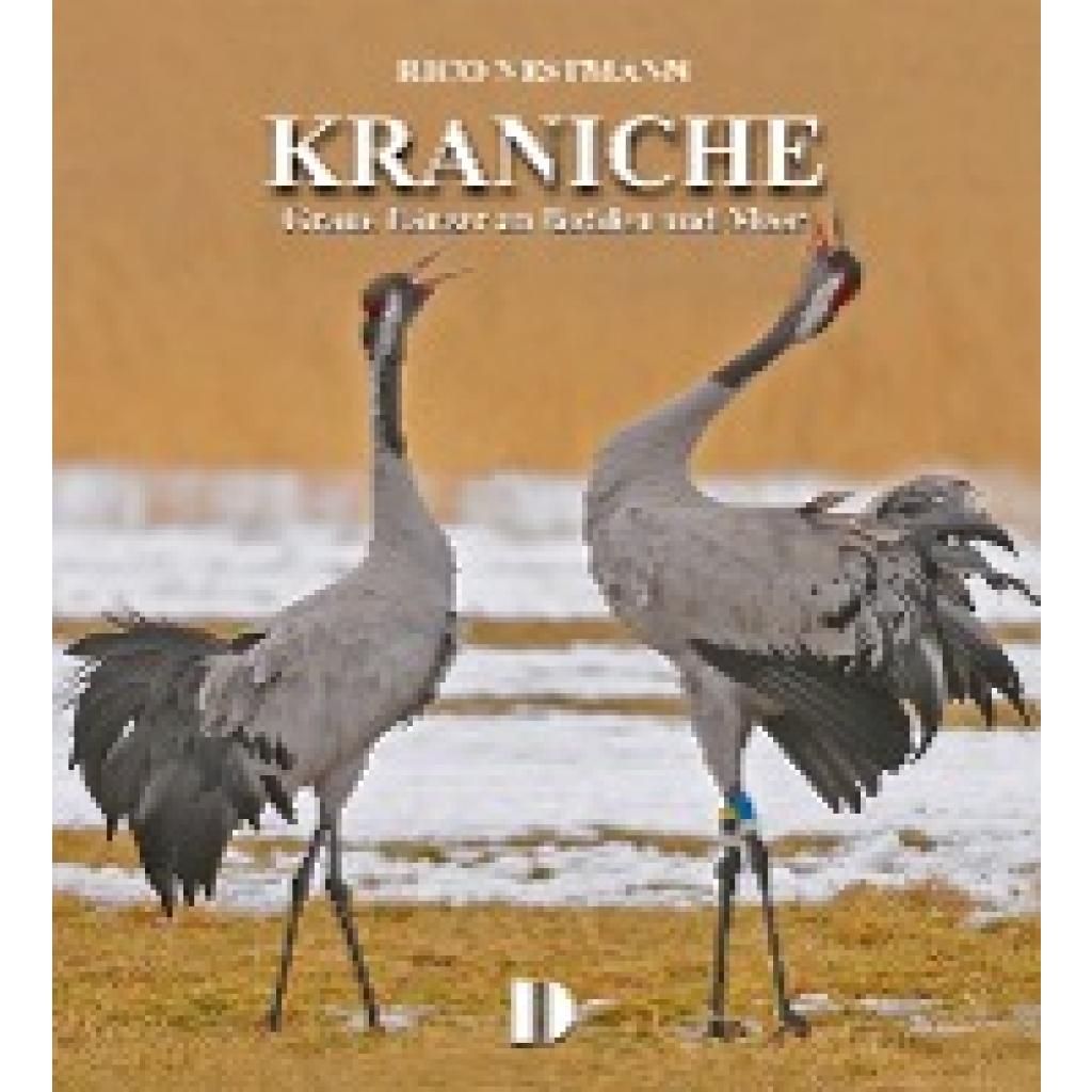 9783944102146 - Bildband Kraniche - Rico Nestmann Gebunden 9783944102146 - Bildband Kraniche - Rico Nestmann Gebunden