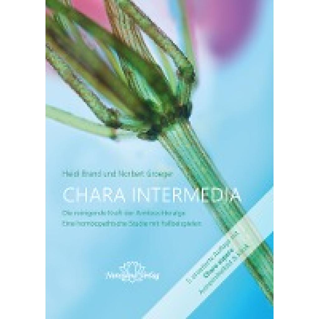 9783943309249 - Chara intermedia - Heide Brand Norbert Groeger Gebunden 9783943309249 - Chara intermedia - Heide Brand Norbert Groeger Gebunden