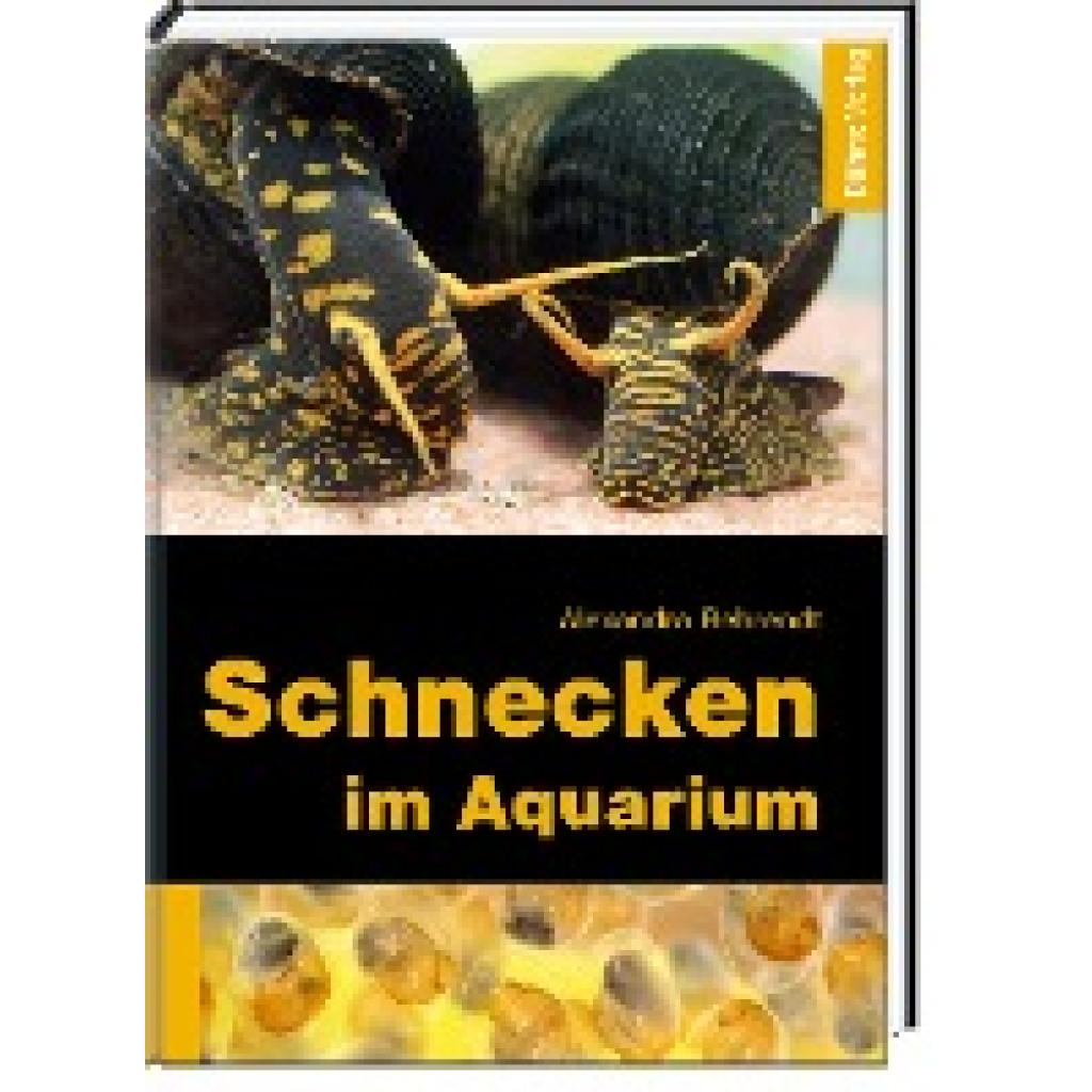 Schnecken im Aquarium (Behrendt, Alexandra)