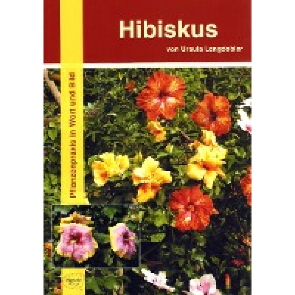 Hibiskus (Lengdobler, Ursula)