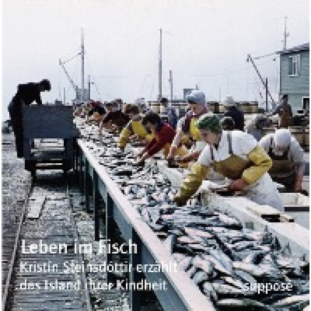 Steinsdóttir, Kristín: Leben im Fisch