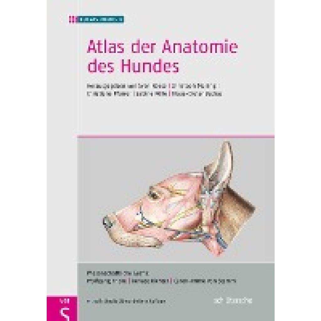 Atlas der Anatomie des Hundes