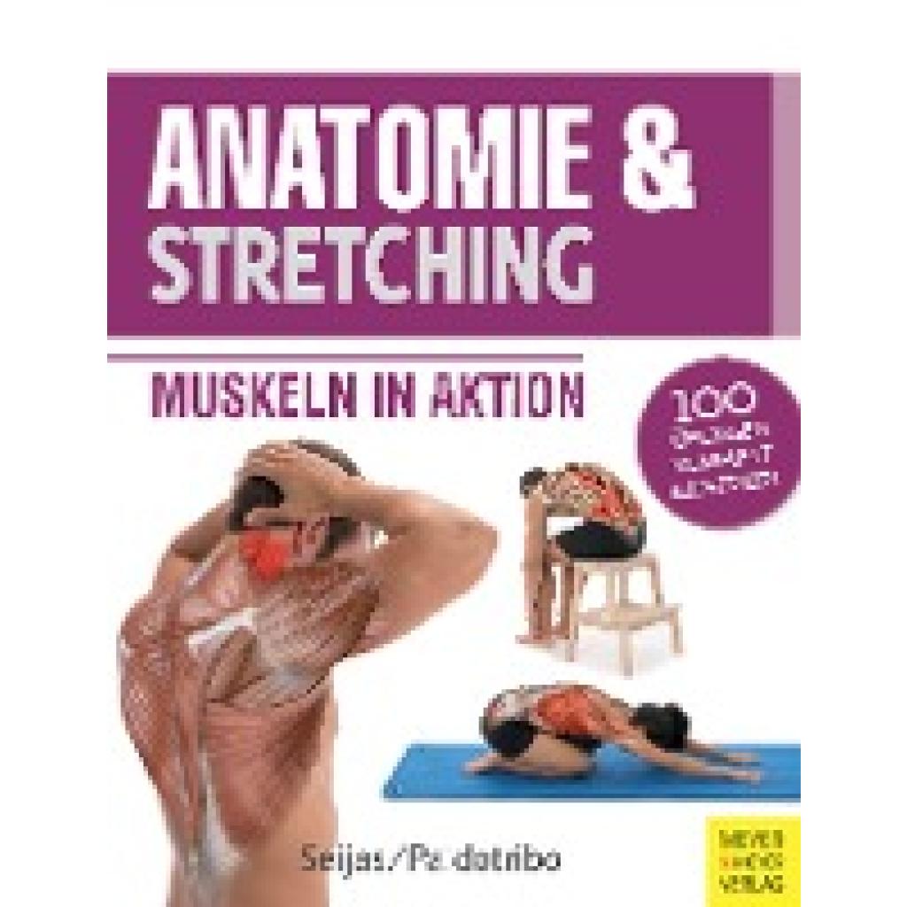 Anatomie & Stretching (Anatomie & Sport, Band 2) (Seijas, Guilermo)
