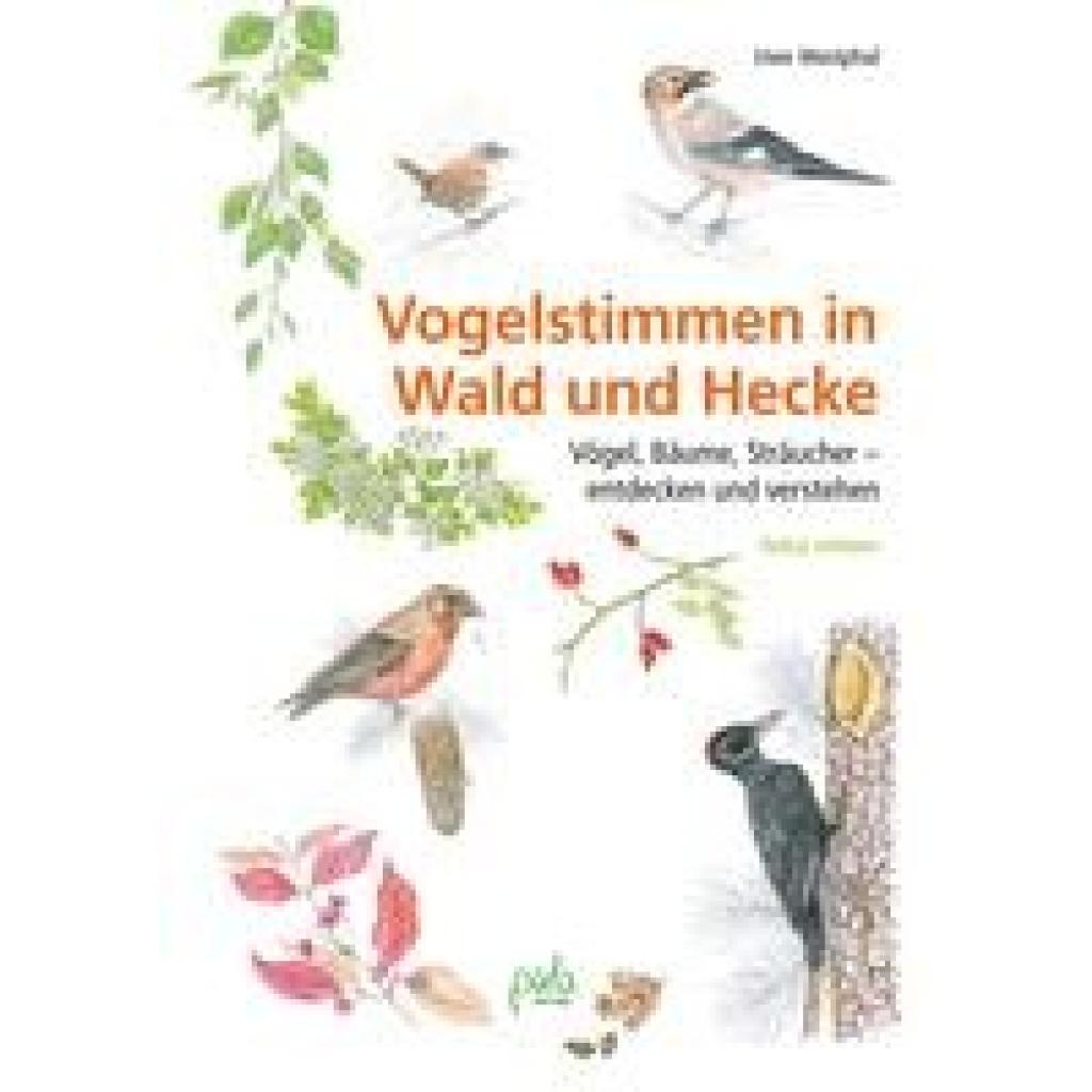 9783895664168 - Vogelstimmen in Wald und Hecke - Uwe Westphal Gebunden 9783895664168 - Vogelstimmen in Wald und Hecke - Uwe Westphal Gebunden