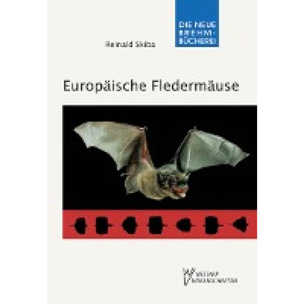 Skiba, Reinald: Europäische Fledermäuse