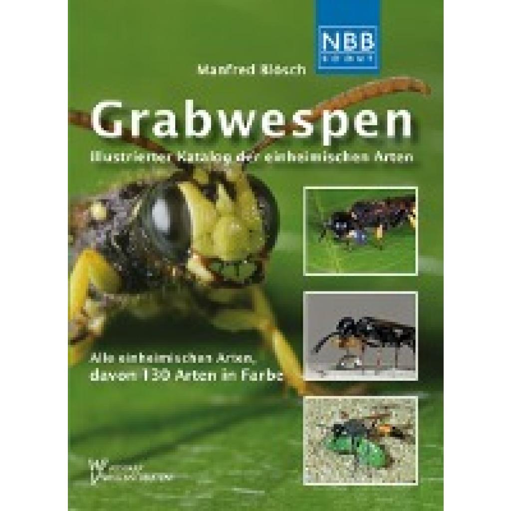 Grabwespen (Blösch, Manfred)