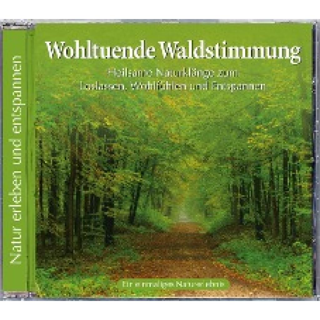 Naturgeräusche: Wohltuende Waldstimmung