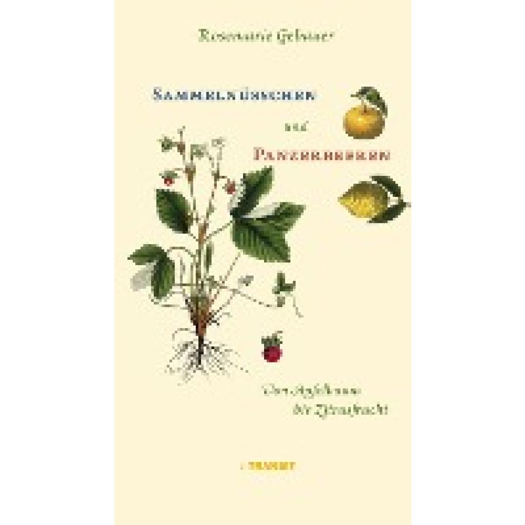 9783887473440 - Sammelnüsschen und Panzerbeeren - Rosemarie Gebauer Gebunden