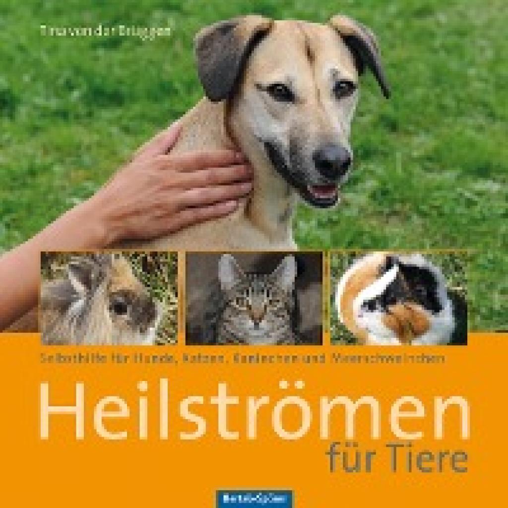 9783886279111 - Heilströmen für Tiere - Tina von der Brüggen Gebunden