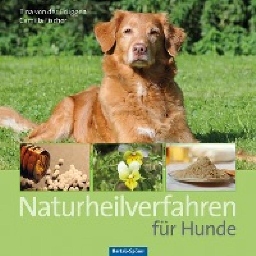 Naturheilverfahren für Hunde (Brüggen, Tina von der~Fischer, Camilla)