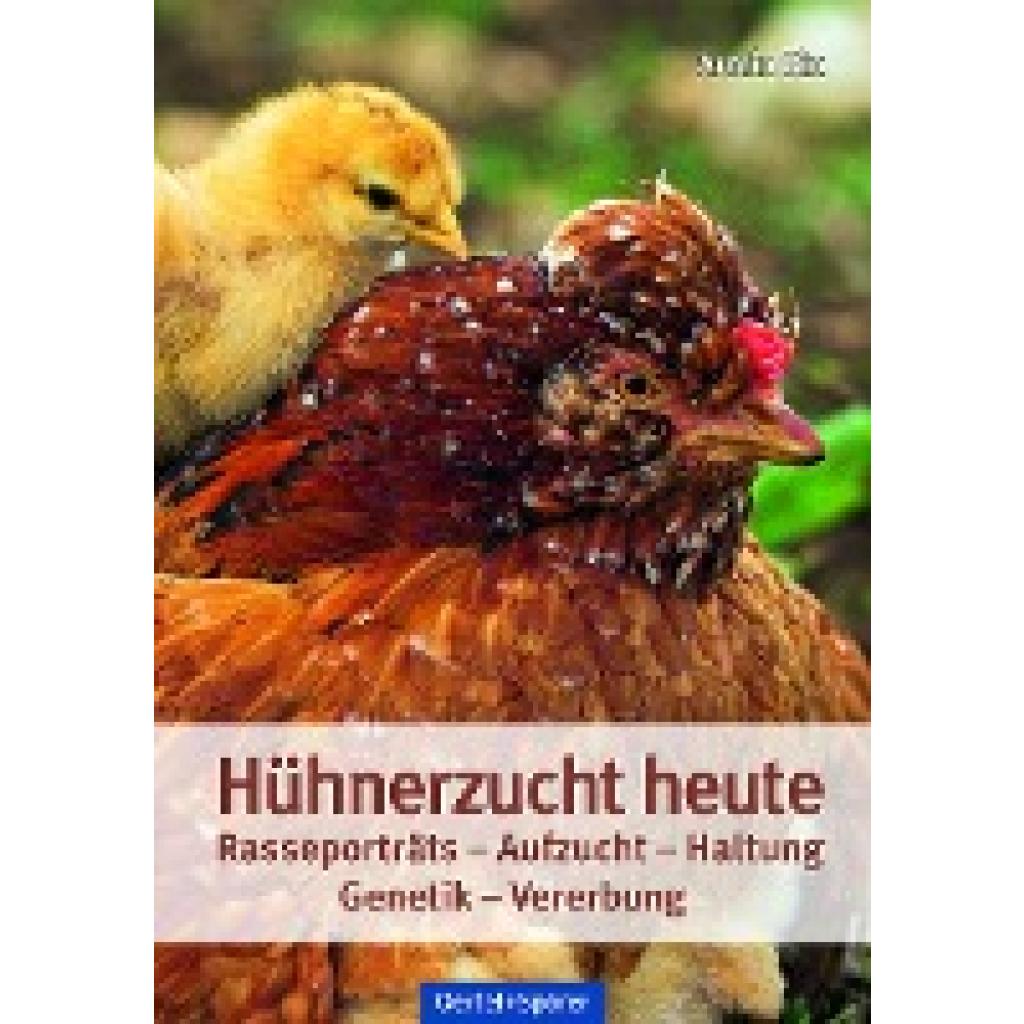 Hühnerzucht heute (Six, Armin)