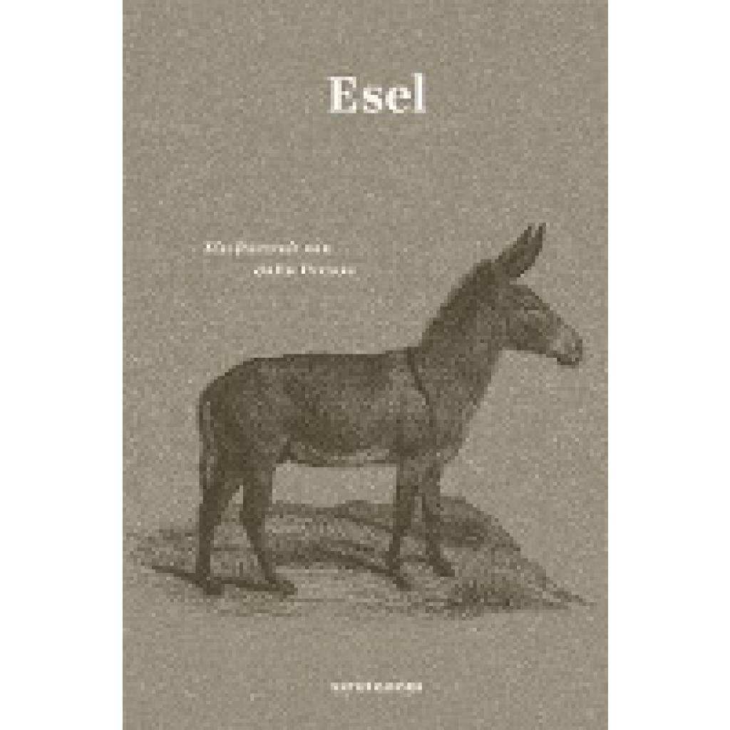 Esel (Person, Jutta)