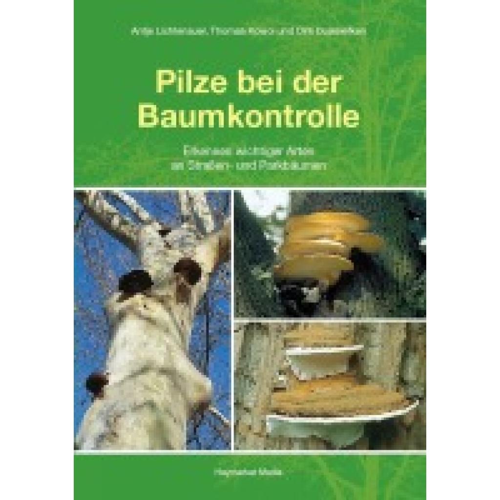 9783878151999 - Pilze bei der Baumkontrolle - Antje Lichtenauer Thomas Kowol Dirk Dujesiefken Kartoniert (TB)