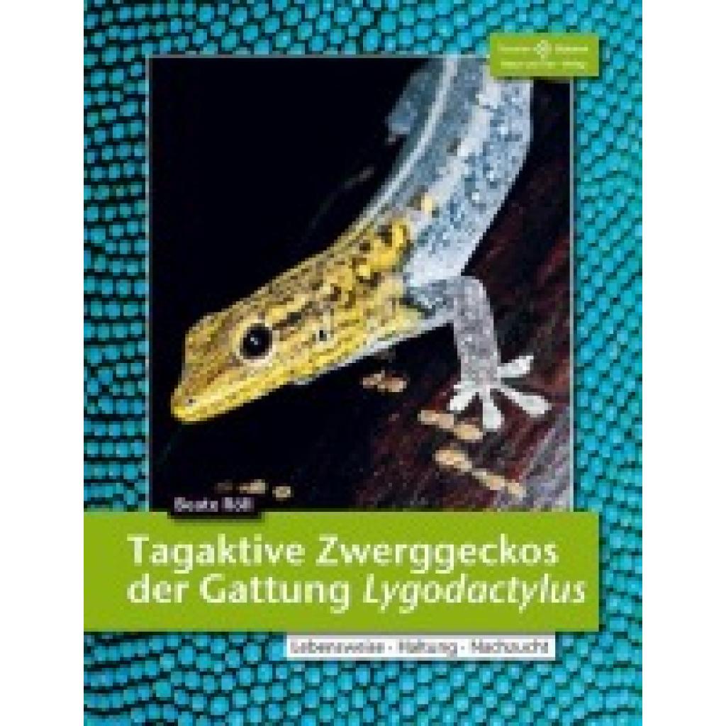 9783866592278 - Tagaktive Zwerggeckos der Gattung Lygodactylus - Beate Röll Kartoniert (TB)