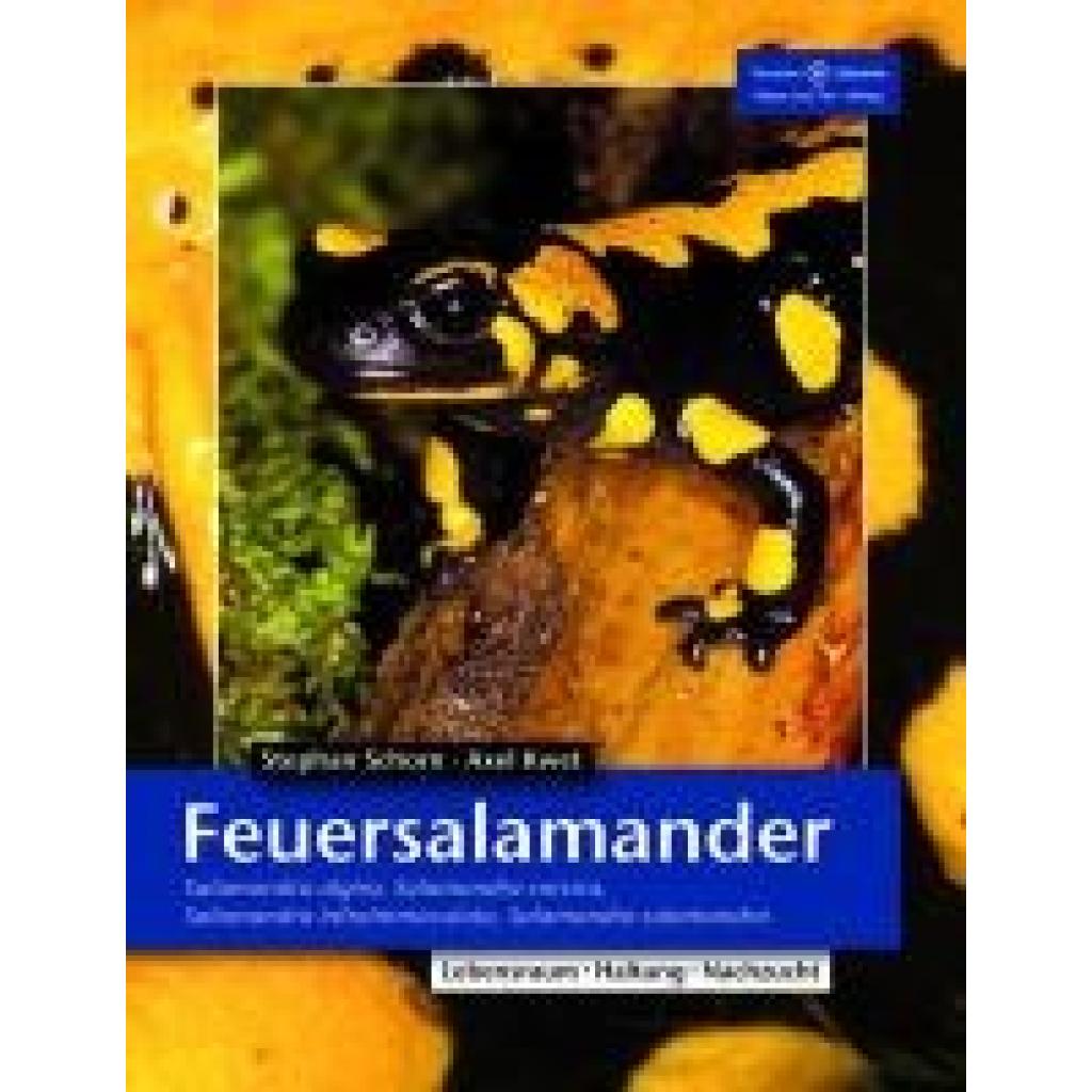 Feuersalamander (Schorn, Stefan~Kwet, Axel)
