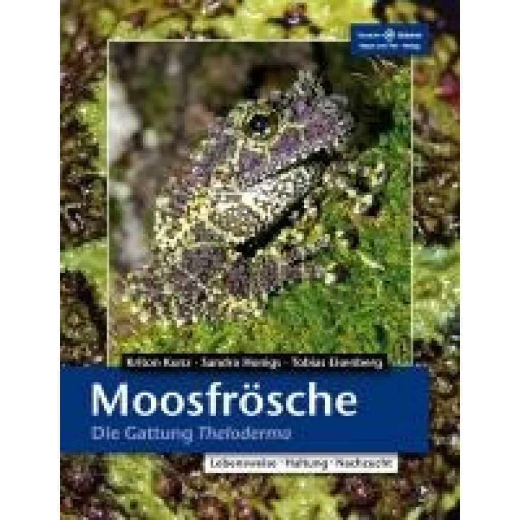 9783866591554 - Moosfrösche - Kriton Kunz Sandra Honigs Tobias Eisenberg Kartoniert (TB) 9783866591554 - Moosfrösche - Kriton Kunz Sandra Honigs Tobias Eisenberg Kartoniert (TB)