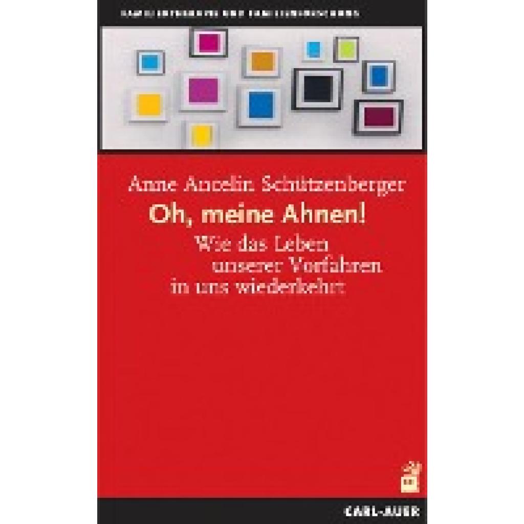 Schützenberger, Anne Ancelin: Oh, meine Ahnen!
