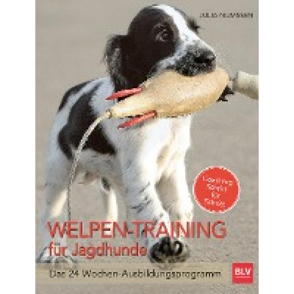 Welpen-Training für Jagdhunde (Numßen, Julia)