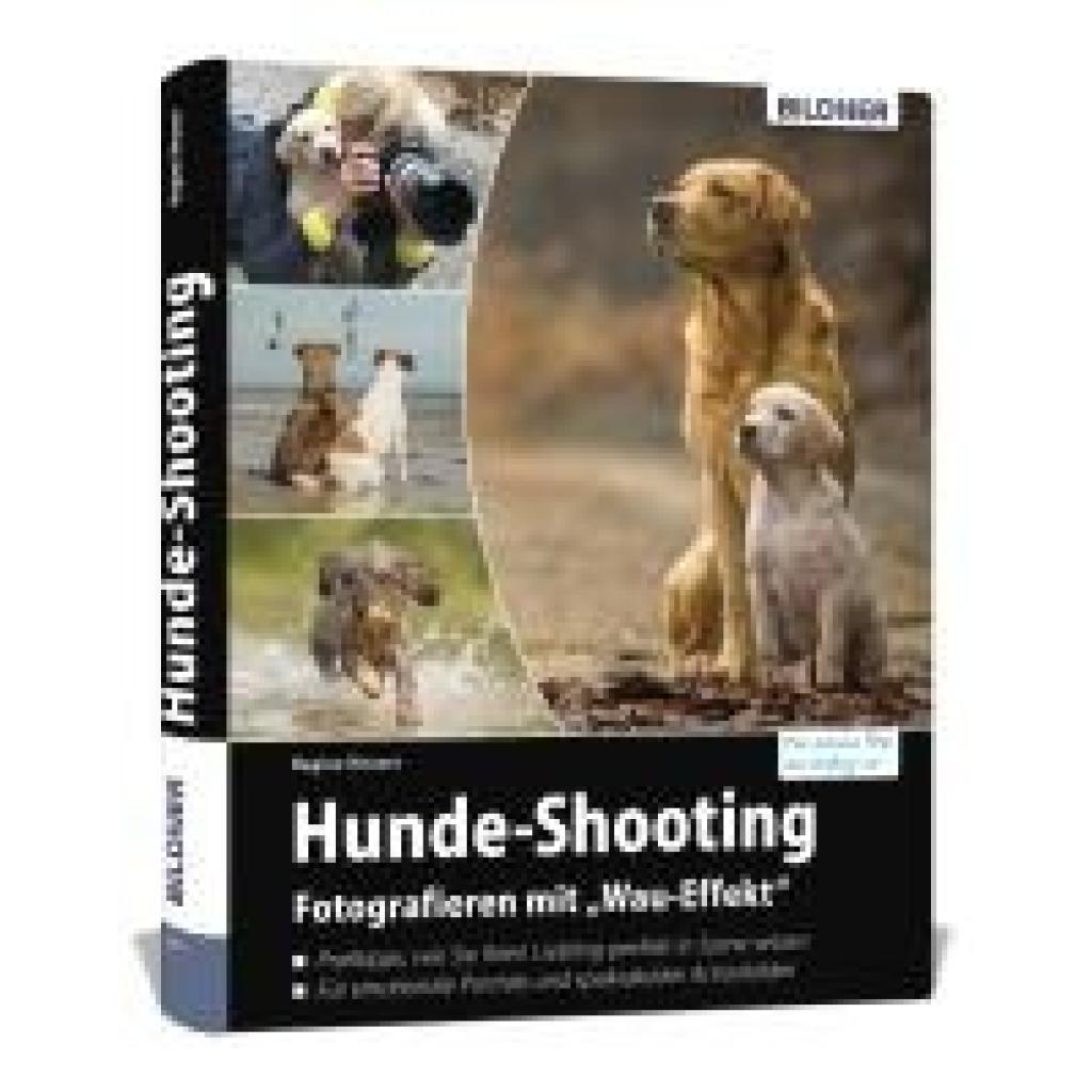 9783832803490 - Hunde-Shooting - Fotografieren mit Wau-Effekt - Regine Heuser Gebunden