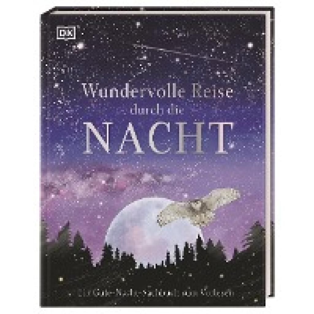 Wundervolle Reise durch die Nacht