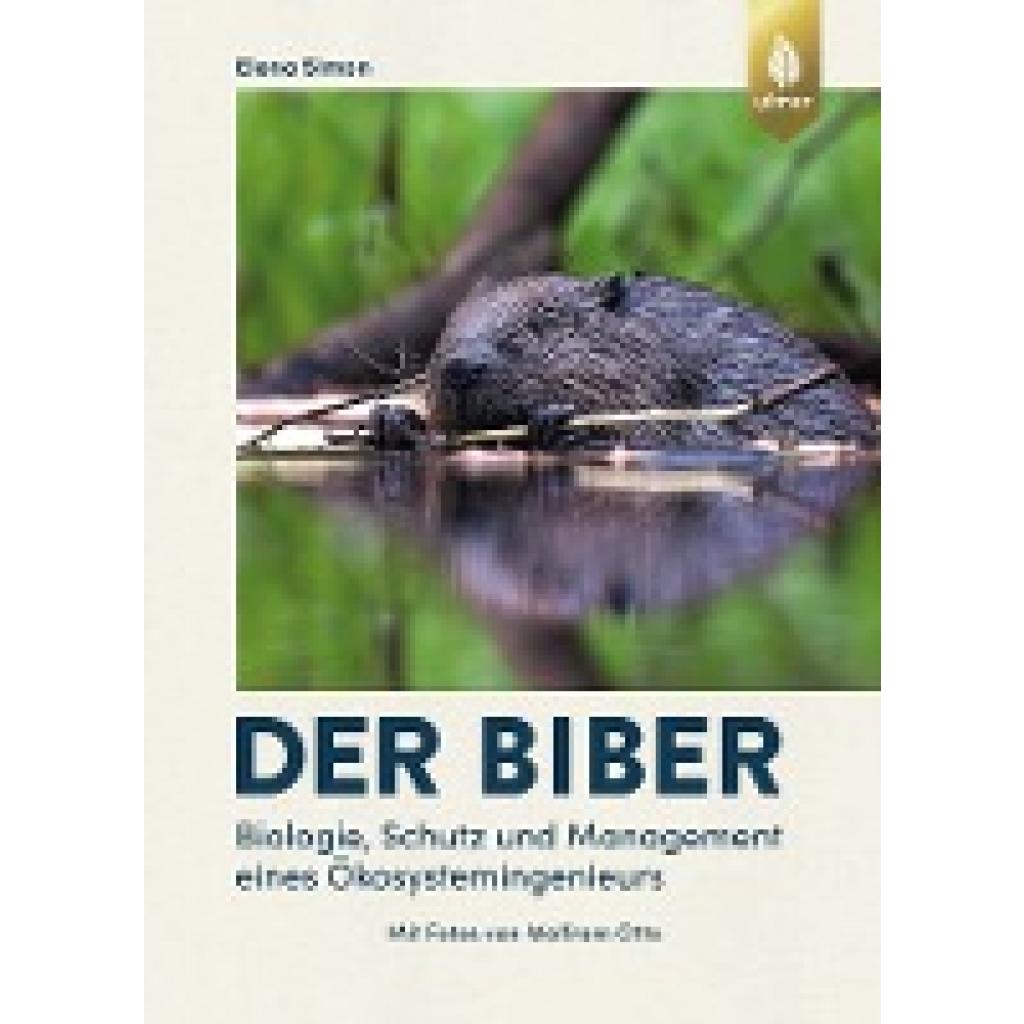 Der Biber (Simon, Elena)
