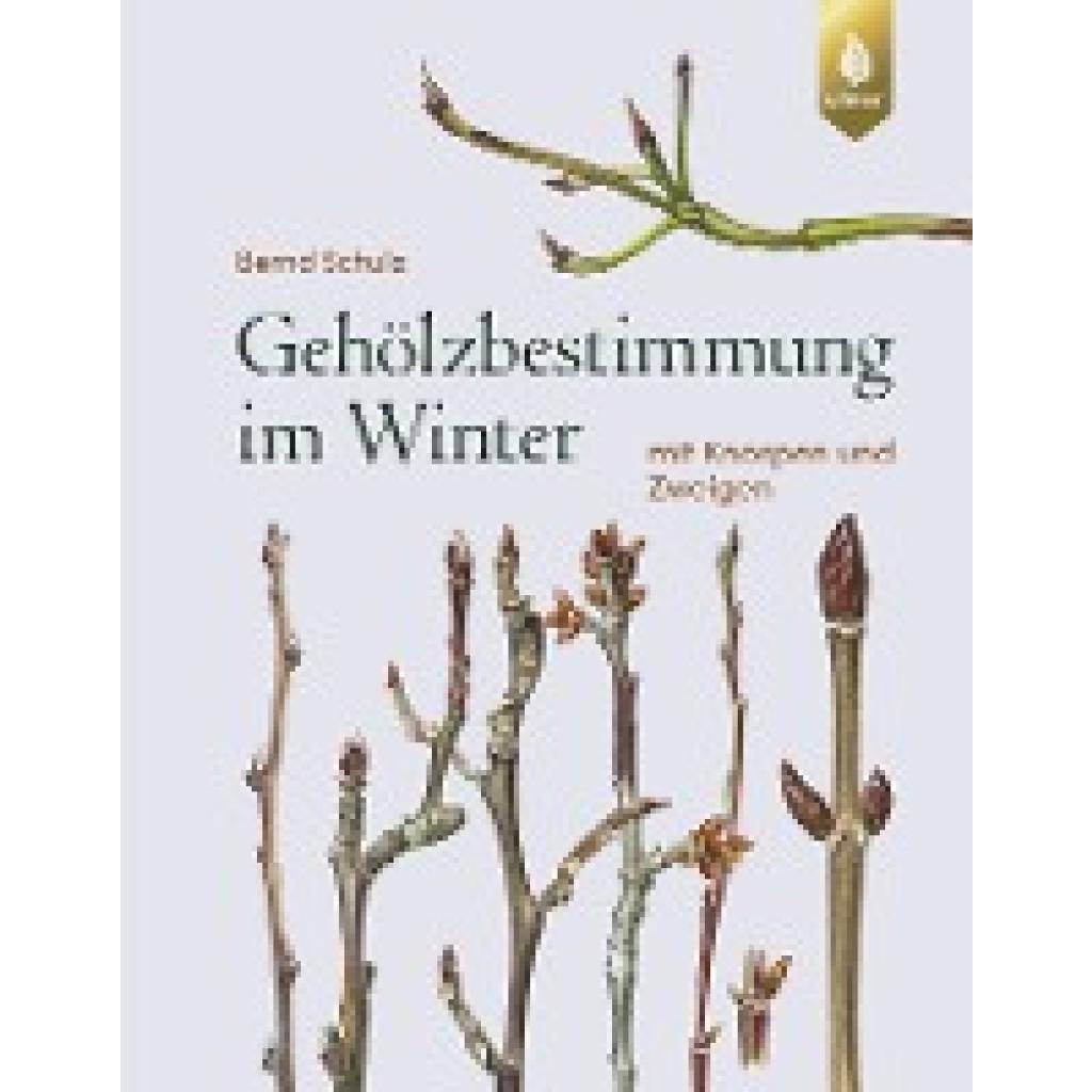 Gehölzbestimmung im Winter (Schulz, Bernd)