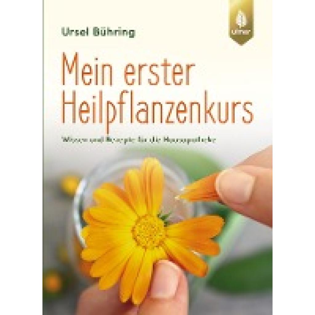 9783818603526 - Mein erster Heilpflanzenkurs - Ursel Bühring Kartoniert (TB)