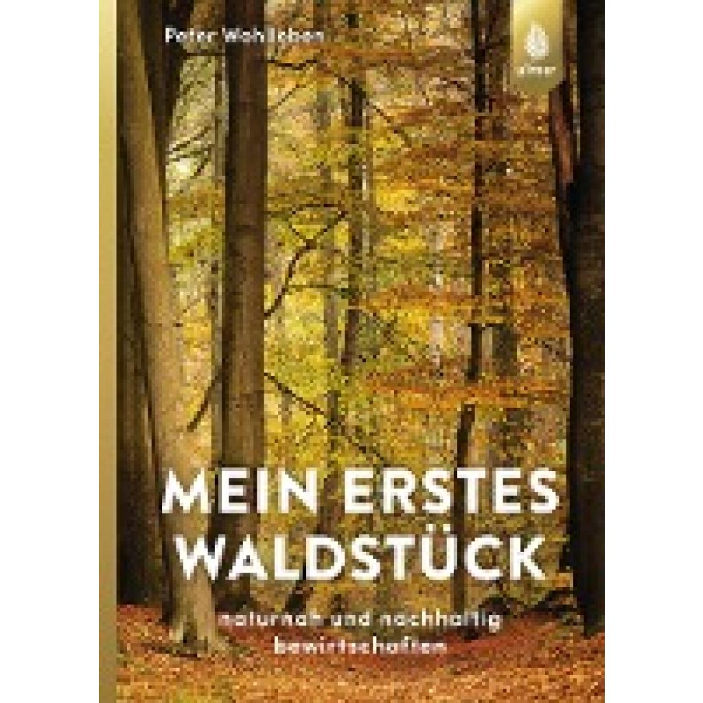 9783818602635 - Mein erstes Waldstück - Peter Wohlleben Gebunden