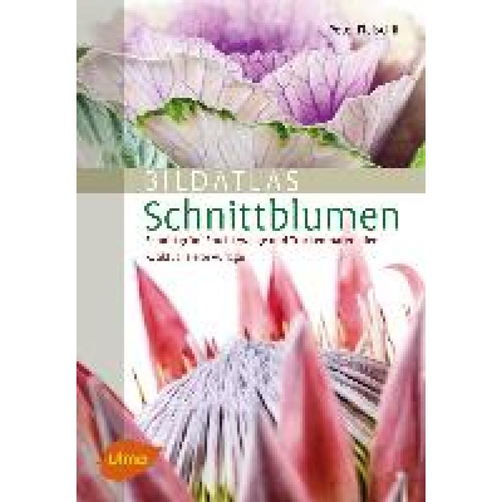 Bildatlas Schnittblumen (Fleischli, Peter)