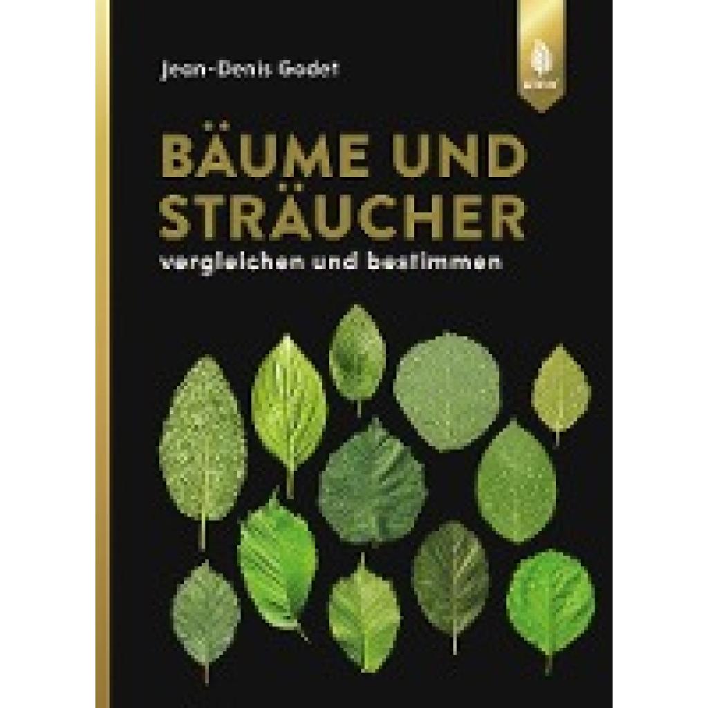 9783800177363 - Bäume und Sträucher vergleichen und bestimmen - Jean-Denis Godet Gebunden 9783800177363 - Bäume und Sträucher vergleichen und bestimmen - Jean-Denis Godet Gebunden