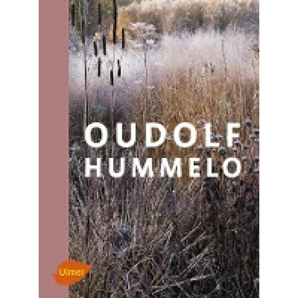 9783800108336 - Oudolf Hummelo - Piet Oudolf Noël Kingsbury Gebunden