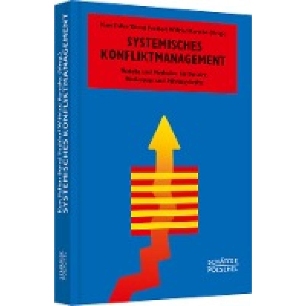 9783791033013 - Systemisches Konfliktmanagement - Kurt Faller Wilfried Kerntke Gebunden