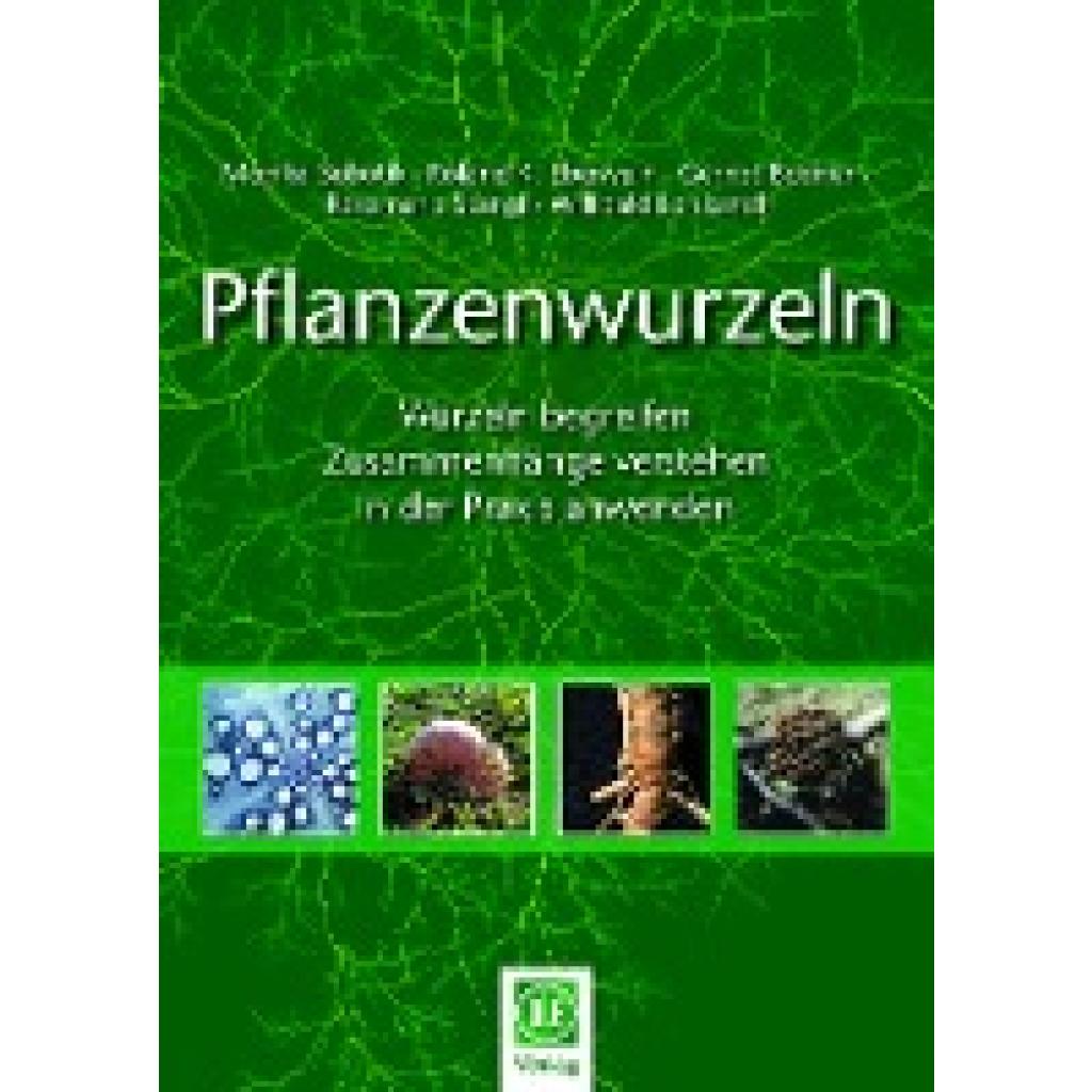 9783769008555 - Pflanzenwurzeln - Monika Sobotik Roland K Eberwein Gernot Bodner Rosemarie Stangl Willibald Loiskandl Gebunden