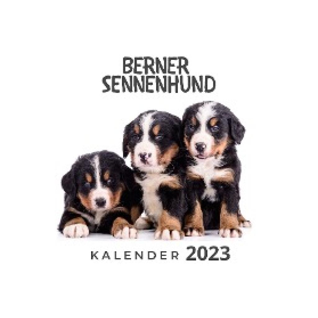 Hübsch, Bibi: Berner Sennenhund