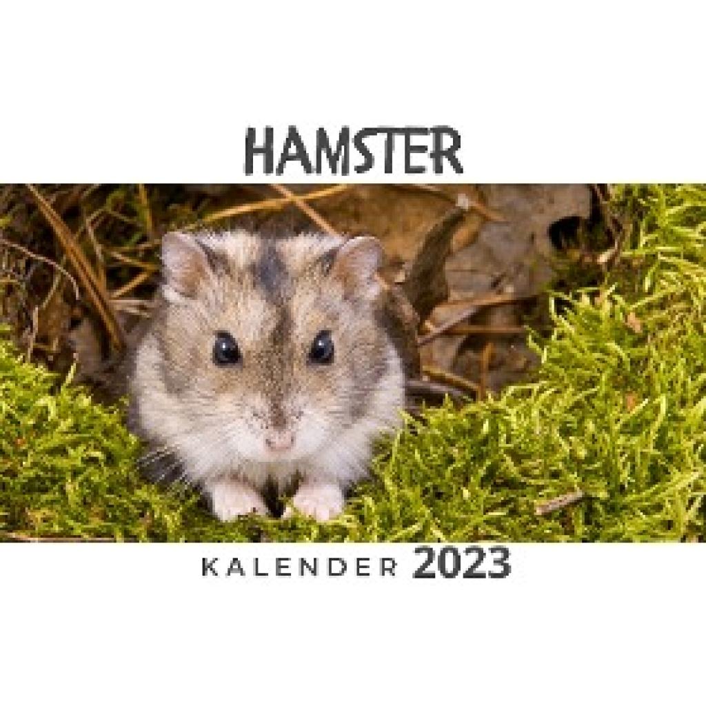 Hübsch, Bibi: Hamster