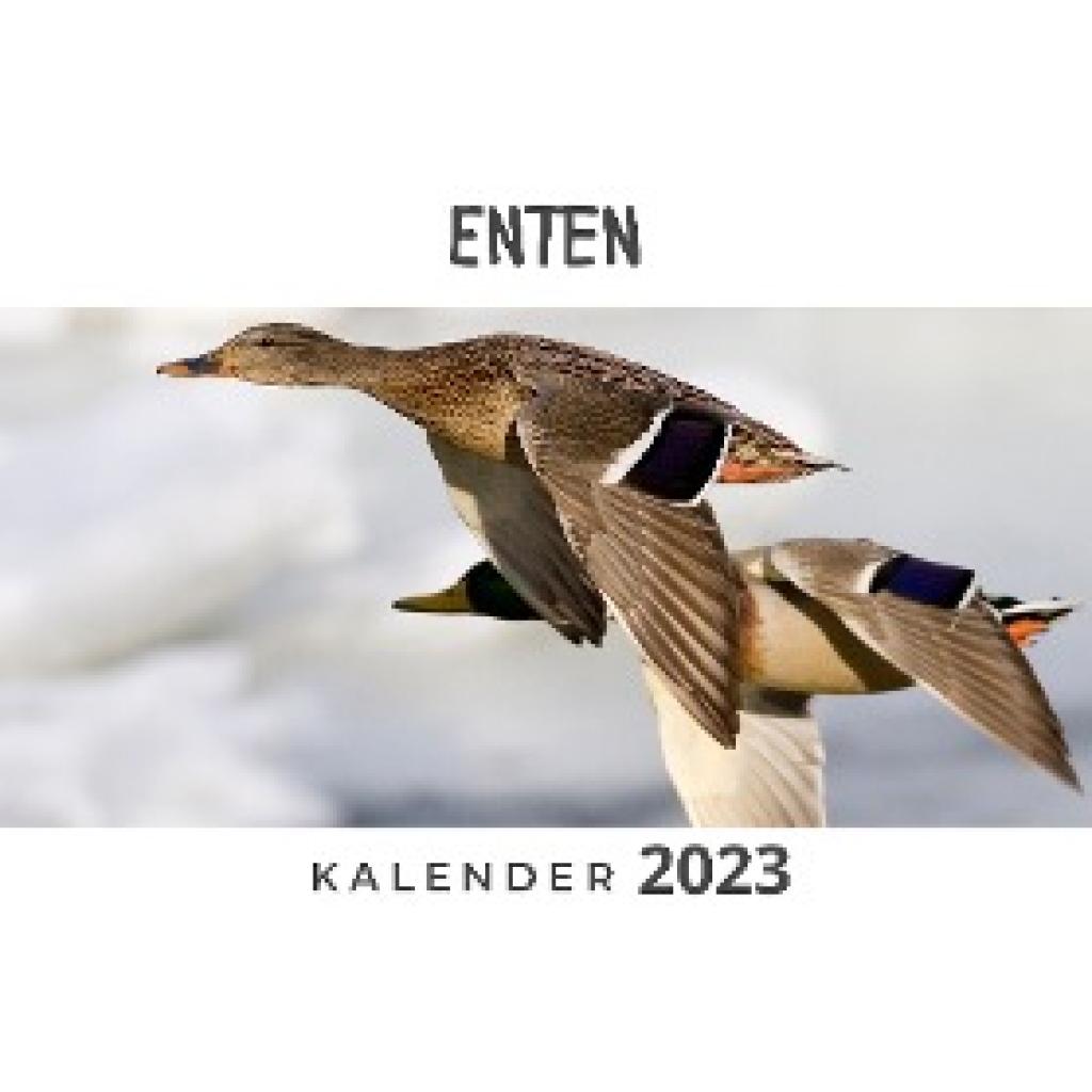 Fröhlich, Tim: Enten